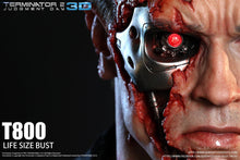 Queen Studios T800 1:1 Scale Lifesize Bust