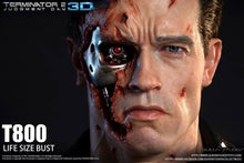 Queen Studios T800 1:1 Scale Lifesize Bust