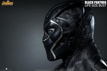 Queen Studios Black Panther