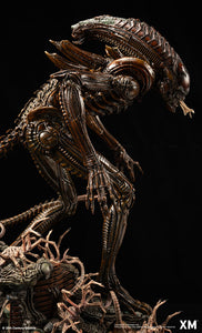 XM Studios Alien Hive-Warrior Statue